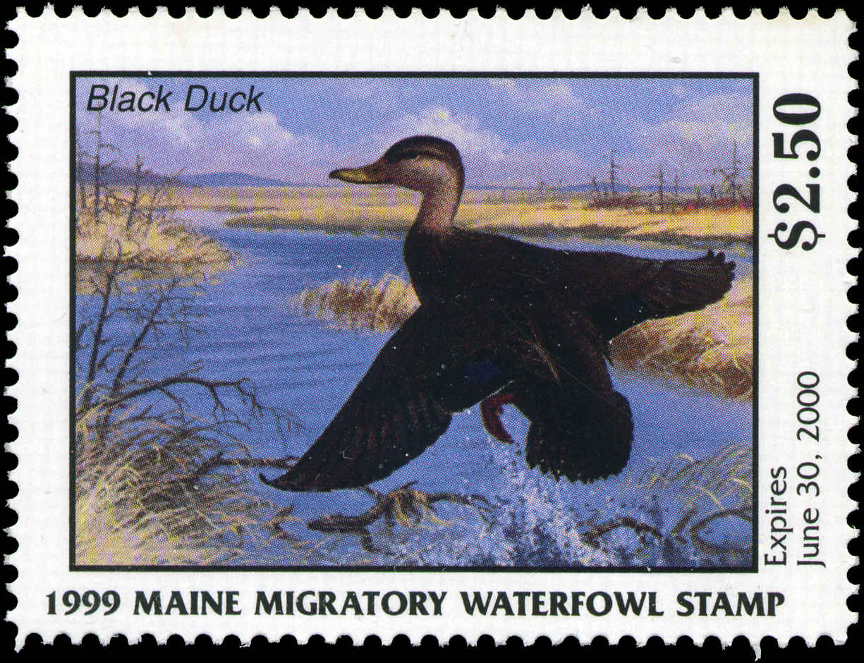 Maine Duck Stamps
