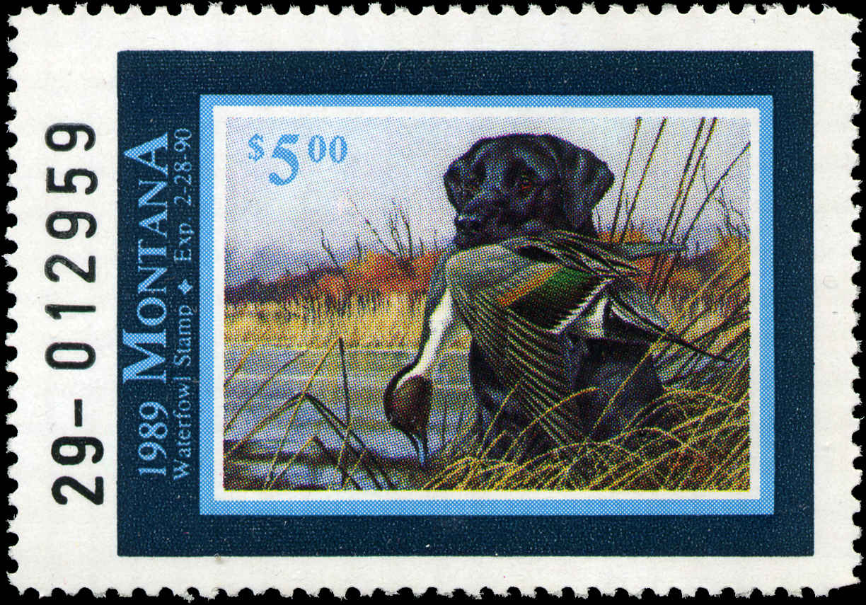Montana Duck Stamps